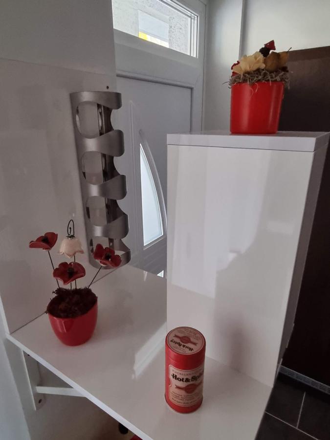 塞格德Flora Apartman公寓 外观 照片